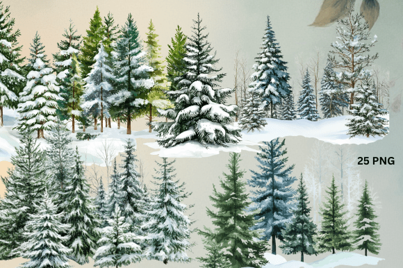 Winter Forest, Christmas Trees PNG: A Practical Review for Illustrations and Digital Sellers